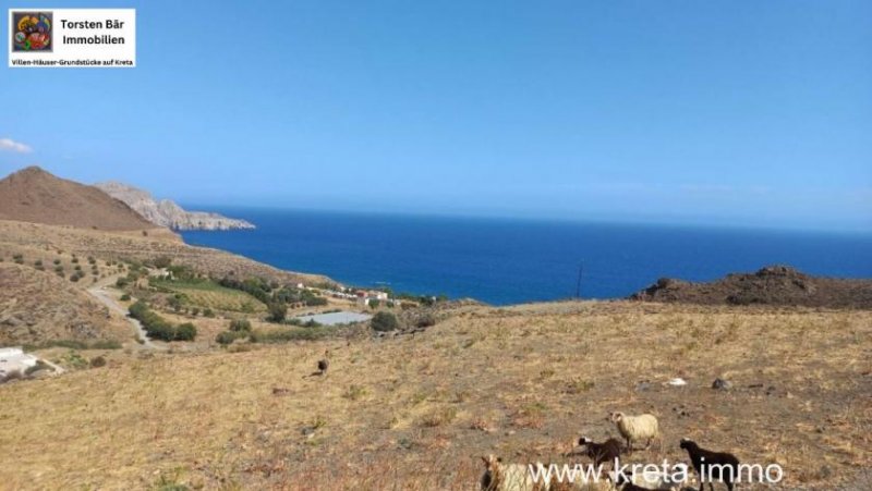 Lentas Kreta, Lentas, zwei Grundstücke mit Meerblick von 16.000m² und 40.000m² Grundstück kaufen